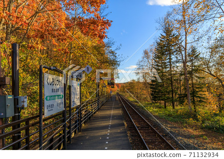 Fall local line 71132934
