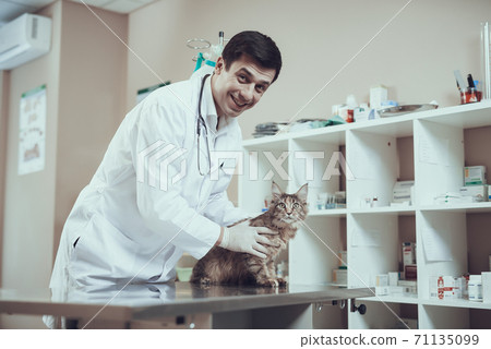 A man looks at the camera while examining a cat.  71135099