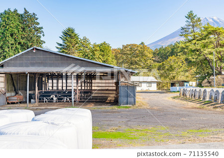 靜岡縣藤宮市朝霧高原,穀倉和草料青貯 靜岡縣藤宮市朝霧高原,穀倉和草料青貯 71135540