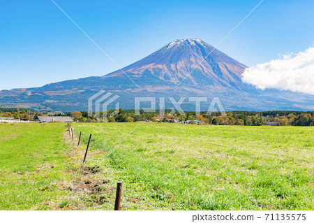 朝霧高原和富士山在靜岡縣藤宮市放牧 朝霧高原和富士山在靜岡縣藤宮市放牧 71135575