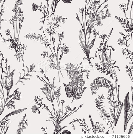 Seamless botanical pattern. Black and white. - Stock Illustration ...