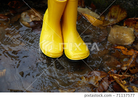 Feet of child in yellow rubber boots jumping in puddle at the autumn day. Feet of child in yellow rubber boots jumping in puddle at the autumn day. 71137577