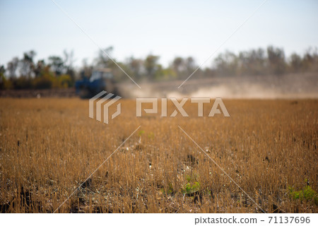 Tractor plowing fields -preparing land for sowing Tractor plowing fields -preparing land for sowing 71137696