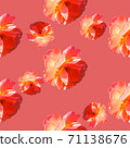 Seamless pattern with roses on a coral background. 71138676