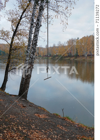 Old swing on the background of the lake Old swing on the background of the lake 71139272