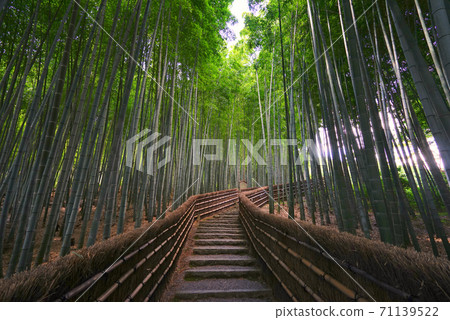 Bamboo Grove At Adashino Nenbutsuji Temple Stock Photo Bamboo Grove At Adashino Nenbutsuji Temple Stock Photo