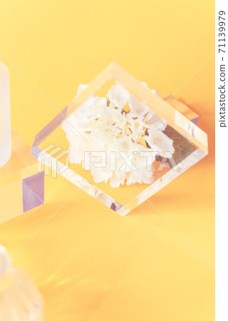 Acrylic Solid Display Blocks 71139979