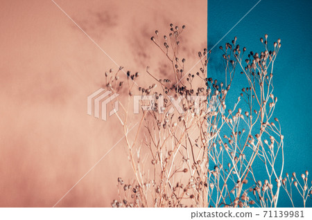 Decor from dry flowers or twigs 71139981
