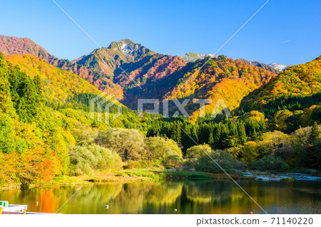 Autumn leaves and Daigenta Canyon Autumn leaves and Daigenta Canyon 71140220
