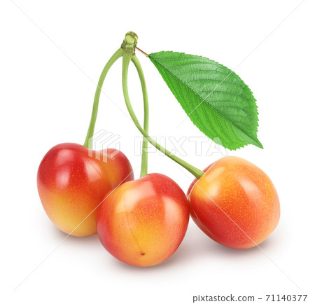 yellow-red sweet cherry isolated on white background with clipping path and full depth of field 71140377