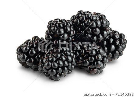 blackberry isolated on a white background closeup. Clipping path and full depth of field blackberry isolated on a white background closeup. Clipping path and full depth of field 71140388