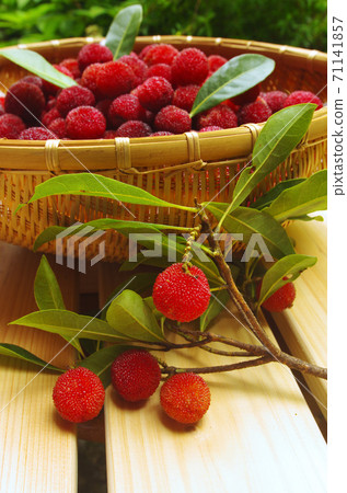 Yamamomo的收穫 71141857