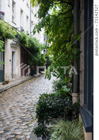 view of typical cobblestone alley with green vegetation in Paris 71142527