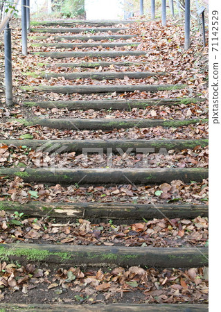 群馬花卉公園 71142529