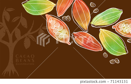 可可豆的水彩插圖/背景茶-插圖素材[71143131] - PIXTA圖庫
