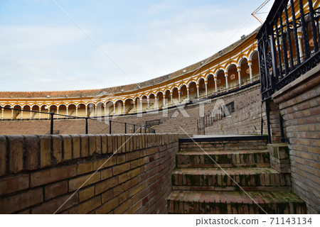 Maestransa養牛場,塞維利亞,西班牙 Maestransa養牛場,塞維利亞,西班牙 71143134