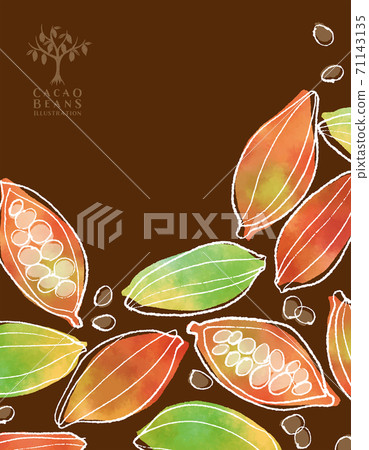 可可豆的水彩插圖/垂直 可可豆的水彩插圖/垂直 71143135