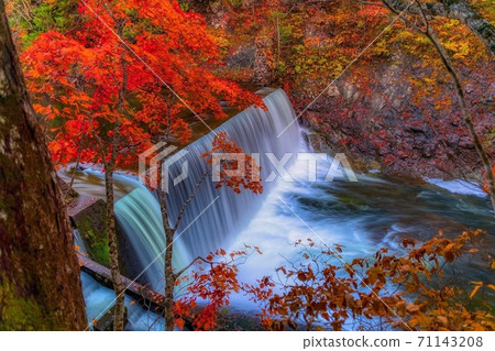 Autumn leaves of Yagen mountain stream Autumn leaves of Yagen mountain stream 71143208