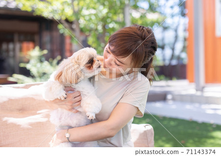 Dog and lady Dog and lady 71143374