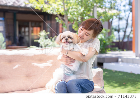 Dog and lady 71143375