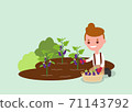 Young Gardener harvesting purple eggplant. 71143792