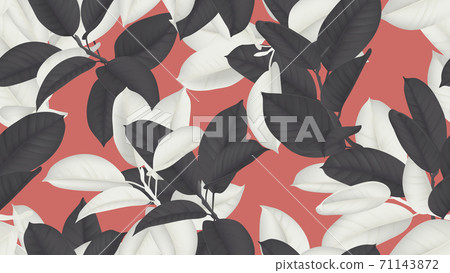 Floral seamless pattern, black and white Ficus Elastica or rubber plant on red background Floral seamless pattern, black and white Ficus Elastica or rubber plant on red background 71143872