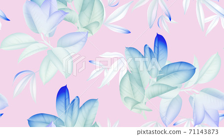 Floral seamless pattern, blue and white Ficus Elastica or rubber plant on pink background Floral seamless pattern, blue and white Ficus Elastica or rubber plant on pink background 71143873