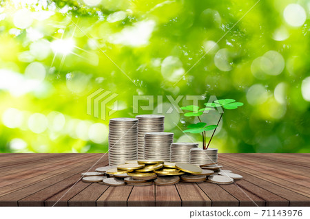 stack of coins and tree on wooden table with bokeh nature background,Lucky economic growth concept stack of coins and tree on wooden table with bokeh nature background,Lucky economic growth concept 71143976