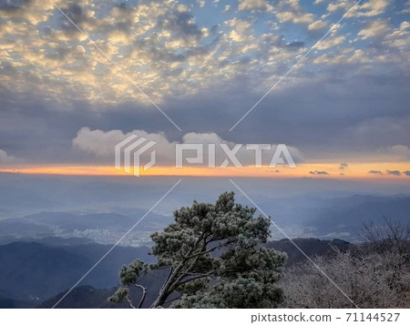 Winter dawn Winter dawn 71144527