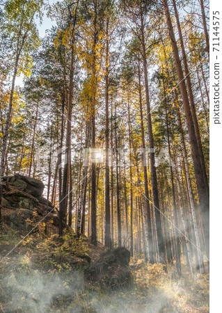 Stone rock in autumn forest in fog. Autumn mountain forest, rocks. Autumn landscape 71144575