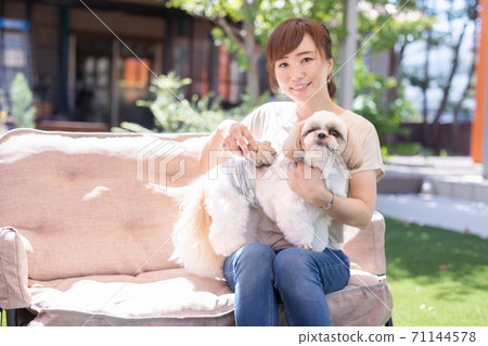 Owner brushing his dog Owner brushing his dog 71144578