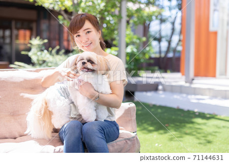 Dog and lady 71144631