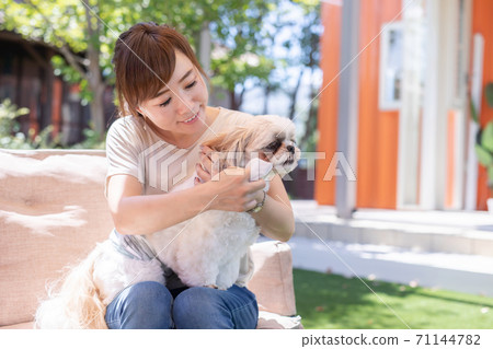 Woman caring for a dog 71144782