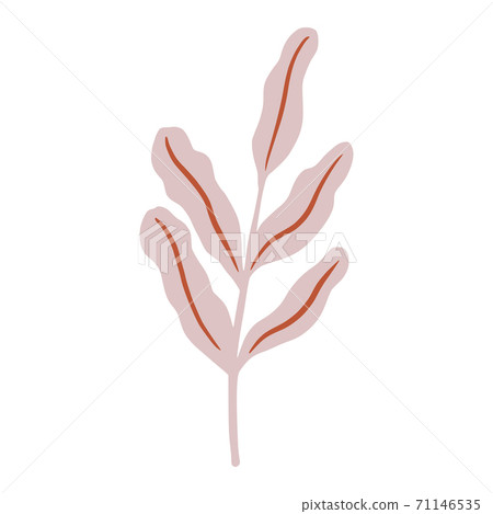 Foliage on twigs isolated on white background. Scandinavian botanical sketch in hand drawn. Foliage on twigs isolated on white background. Scandinavian botanical sketch in hand drawn. 71146535