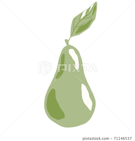Green pear with twig and leaf isolated on white background. Whole pear hand drawn in doodle style. Green pear with twig and leaf isolated on white background. Whole pear hand drawn in doodle style. 71146537