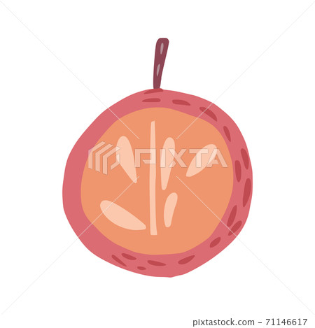 Half red apple with twig and without leaf isolated on white background. Apple with seeds hand drawn in doodle style. 71146617