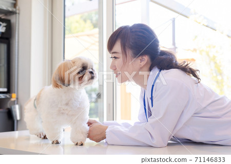 獸醫和狗 71146833
