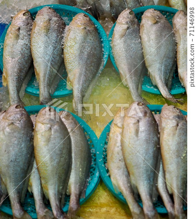 Fresh sea seafood early, fish 71146998