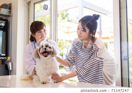 Veterinarian and owner 71147247