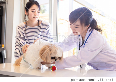 Veterinarian and owner 71147251