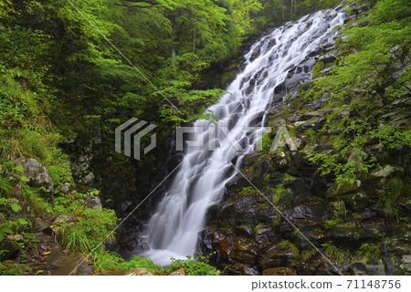 Nunotaki Aba Forest Park (Aba, Tsuyama City, Okayama Prefecture) 71148756