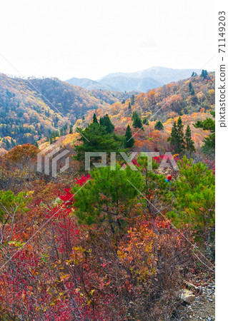 從竹長嶽山徑在秋天的顏色的視圖 從竹長嶽山徑在秋天的顏色的視圖 71149203