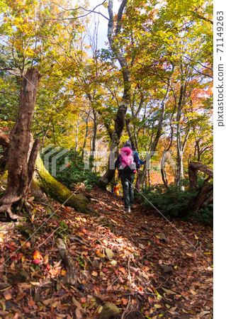Autumn Mt. Bunagatake mountain climbing scenery 71149263