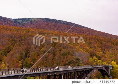 Autumn leaves of Shiogakura Ohashi Autumn leaves of Shiogakura Ohashi 71149272
