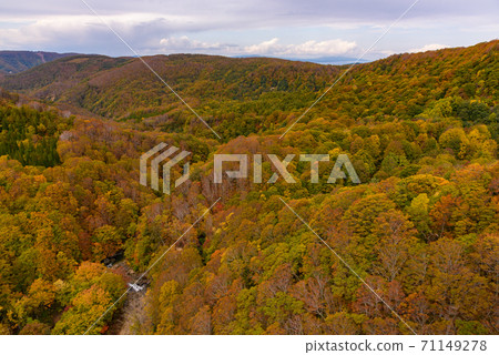 Autumn leaves of Shiogakura Ohashi Autumn leaves of Shiogakura Ohashi 71149278