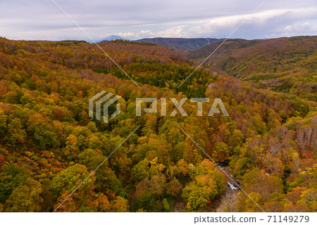 Autumn leaves of Shiogakura Ohashi Autumn leaves of Shiogakura Ohashi 71149279