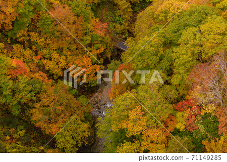 Autumn leaves of Shiogakura Ohashi 71149285