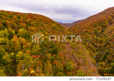 Autumn leaves of Shiogakura Ohashi Autumn leaves of Shiogakura Ohashi 71149287