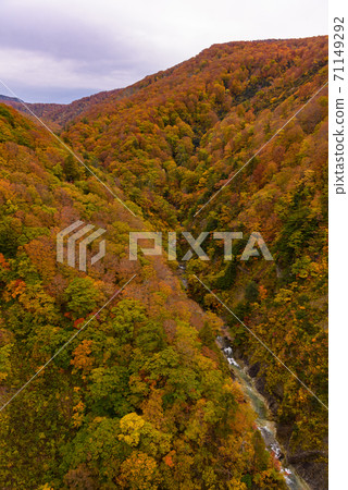 Autumn leaves of Shiogakura Ohashi Autumn leaves of Shiogakura Ohashi 71149292