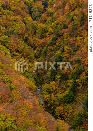 Autumn leaves of Shiogakura Ohashi Autumn leaves of Shiogakura Ohashi 71149298